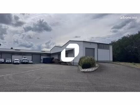 local d'activité 1 300 m²