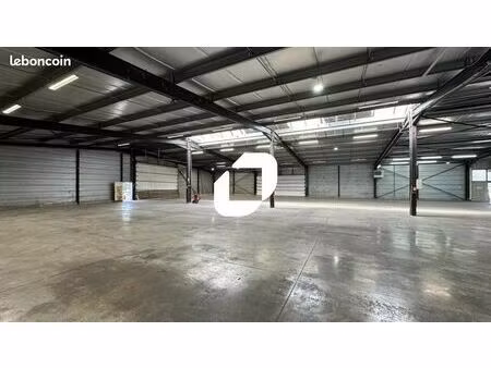 local d'activité 3 140 m²
