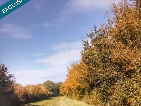 terrain 697767 m² benon