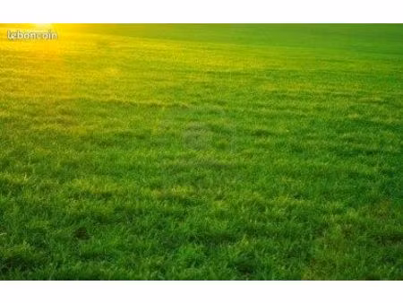 terrains st just st rambert