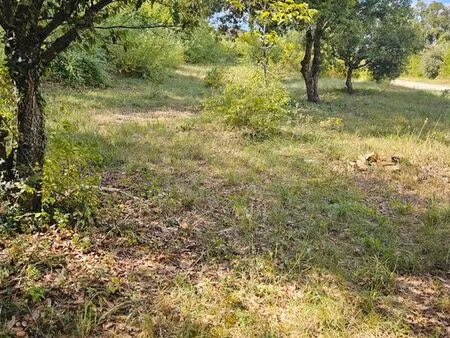 terrain constructible