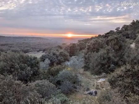 terrain naturel  garrigue en terrasse