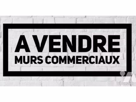 local d'activités lucon