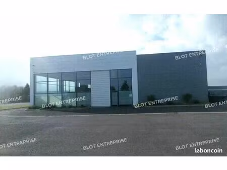 local d'activité 500 m²