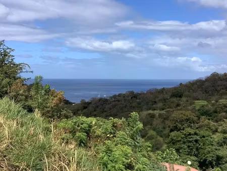 vente terrain 800 m² à le carbet (97221)  112 000 €