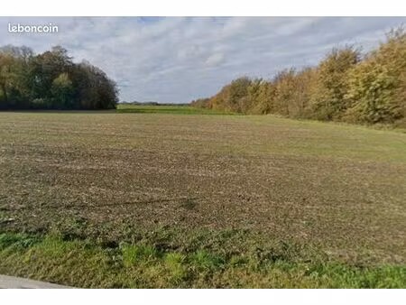 terrain hersin coupigny