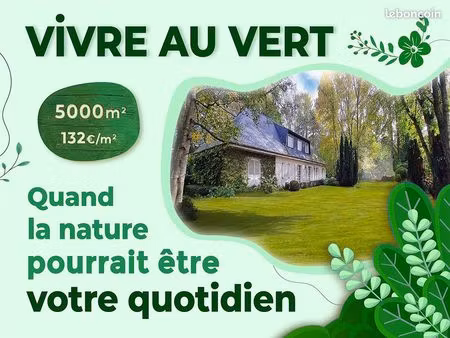 très grand terrain - betton 35830