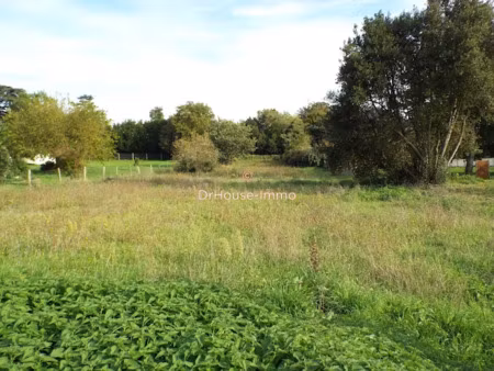 vente terrain 2104 m² à bois (17240)  38 000 €