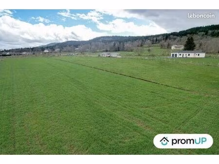 terrain 8 830 m² araules