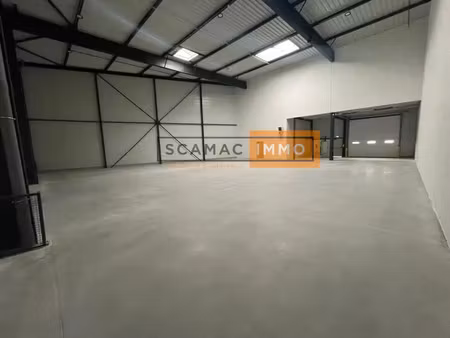 local d'activités de 531m²