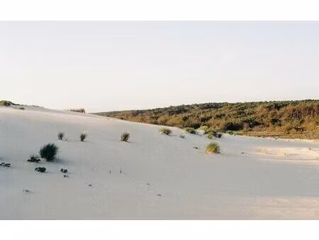 terrain saint-julien-en-born m² t- à vendre  720 000 €