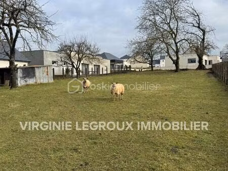 virginie legroux bsk immobilier
