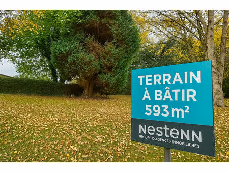 a vendre - tregueux - terrain constructible de 593 m²- hors lotissement - libre de constru