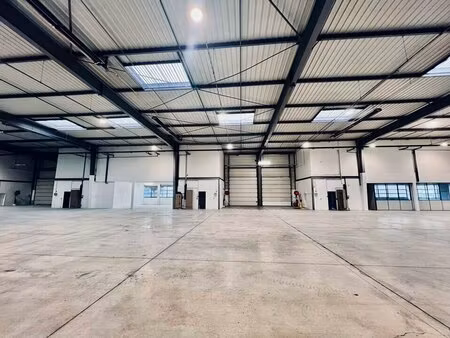 local d'activite a louer