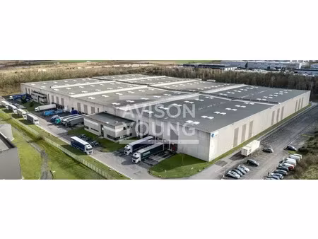 local d'activite a louer