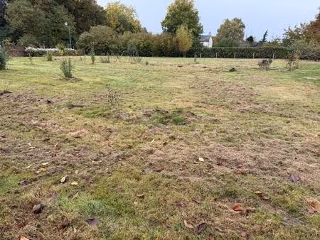 a saisir très beau terrain.