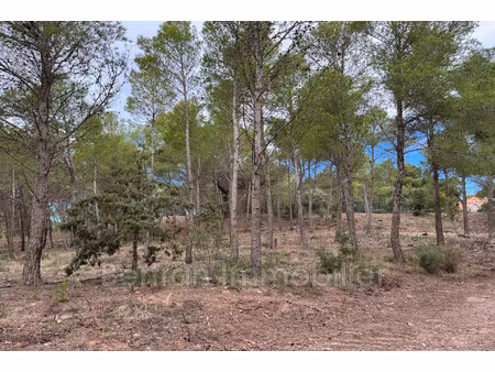 achat terrain 3 689m² espira de l agly 66600