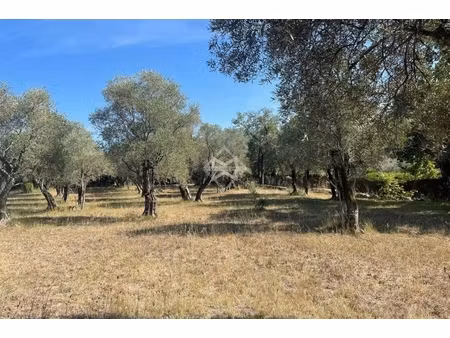 annonce terrain à vendre