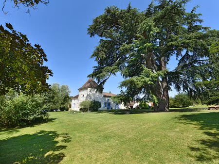 chateau à vendre à castelmoron-sur-lot (47260) - lot-et-garonne