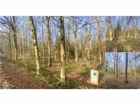 terrain à bâtir à vendre à domaine de la forestière 112 aublain (vbd45563)