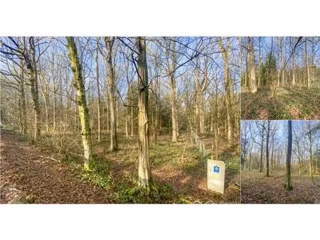 terrain à bâtir à vendre à domaine de la forestière 112 brûly-de-pesche (vbd45563)