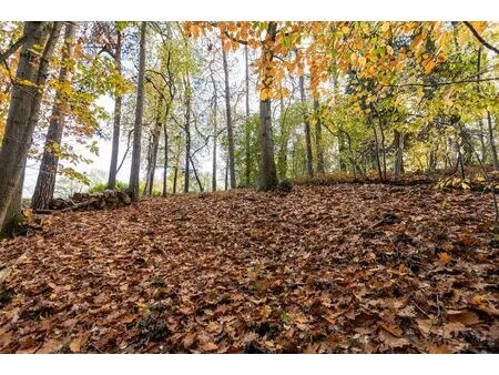 terrain à vendre de 3000 m² à wavre (vbd45669)