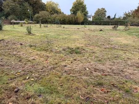 vente terrain à angrie (49440) : à vendre / 600m² angrie