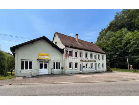 vente maison 12 pièces 307 m² philippsbourg (57230)