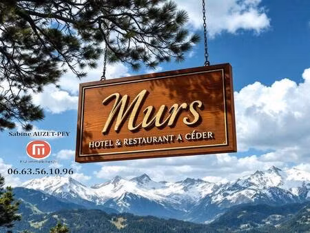 madame sabine auzet-pey