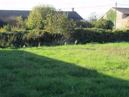 terrain constructible viabilisé à vendre