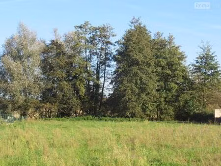 terrain constructible viabilisé à vendre