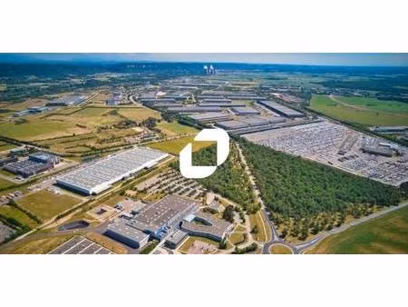 immprove lyon activités