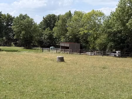 vente terrain 16138 m² à héloup (61250)  20 000 €