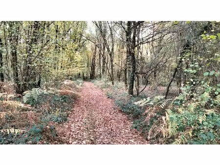 vente terrain 18490 m² vouillé (86190)