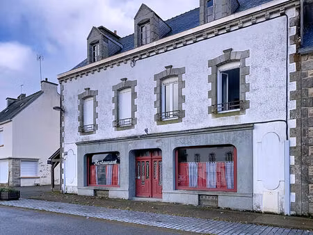investisseurs : immeuble à vendre à saint-thurien