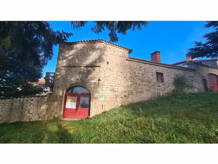 charmante maisonnette en pierre sur terrain de 700m²