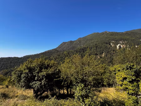 vente terrain 6000 m² à castillon (06500)  299 000 €