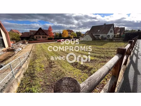 vente terrain 911 m² à bennwihr mittelwihr (68630)  249 000 €