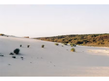 vente terrain à batir 444 m² à saint-julien-en-born (40170)  720 000 €