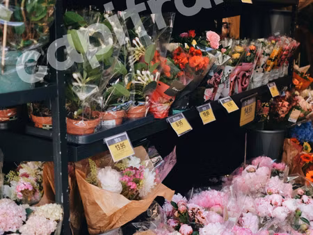 fonds de commerce à vendre montigny en ostrevent 2 pièce(s) 171m2 57 500€