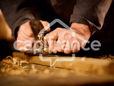 fonds de commerce à vendre la riviere 10 pièce(s) 740m2 2 900 000€