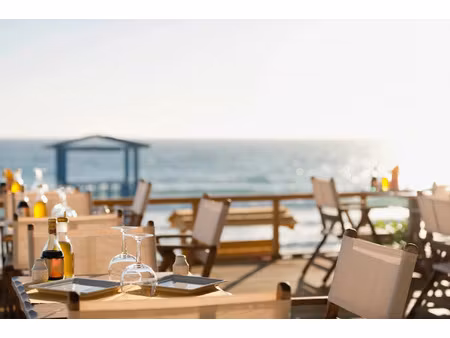 fonds de commerce à vendre cannes 1 pièce(s) 62m2 232 200€