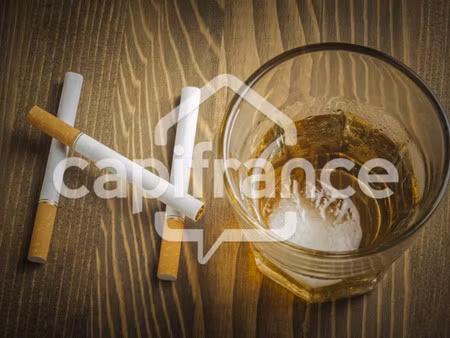 fonds de commerce à vendre hauteville lompnes 2 pièce(s) 41m2 250 000€