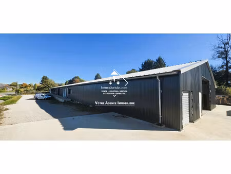 immobilier professionnel à vendre aixe-sur-vienne