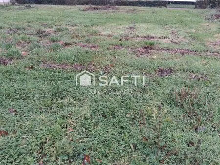 terrain constructible