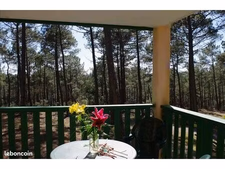 appartement t1 à louer à carcans maubuisson