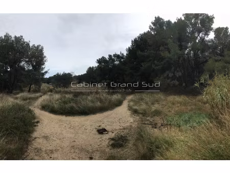 vente terrain agricole avec bois