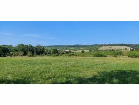 terrains constructibles viabilisés de 595 m² à 947 m² - 5 min de buxy