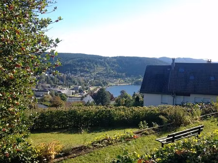 appartement gerardmer 5 pièce(s) 112 m2