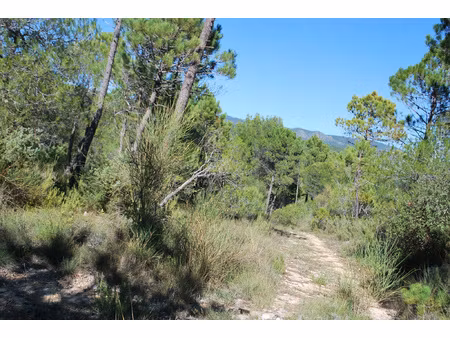 terrain viabilise salernes